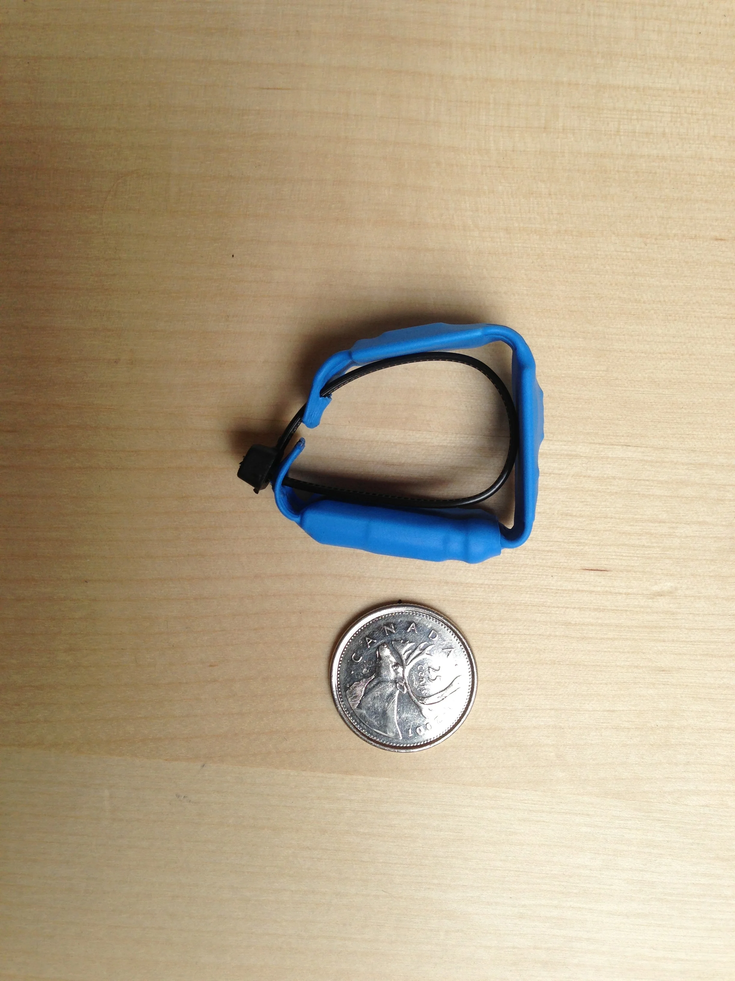 VERY SMALL GPS COLLAR FOR VERY SMALL MAMMALS