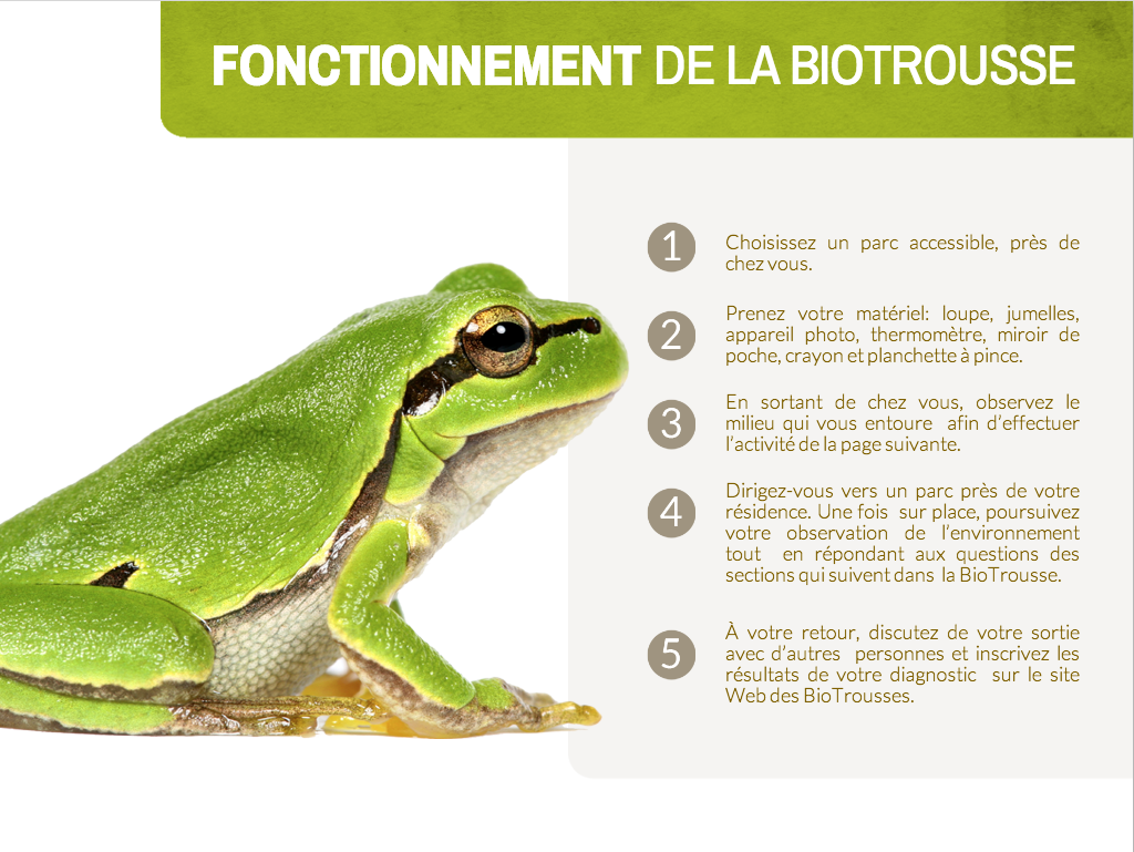 PAGE DE LIVRE NUMÉRIQUE MODIFIABLE ET INTÉRACTIVE