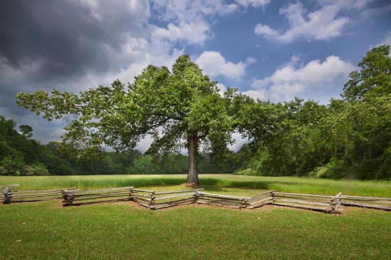 The Natchez Trace Parkway offers great locations for biking, hiking, jogging, camping, and picnicking. You may just want to stroll or drive down the historic parkway to enjoy the splendor of the countryside and view the native plants, wilderness, old trees, birds, deer, and other wildlife, as well as the springs and creeks. Every season of the year is a beautiful site to see along the Natchez Trace Parkway.
