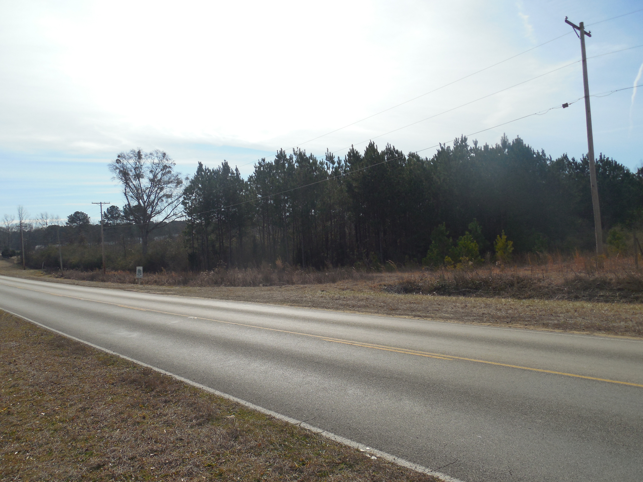 27 Acres - Autumn Ridgde Drive and Hwy 19 Pic 2.JPG