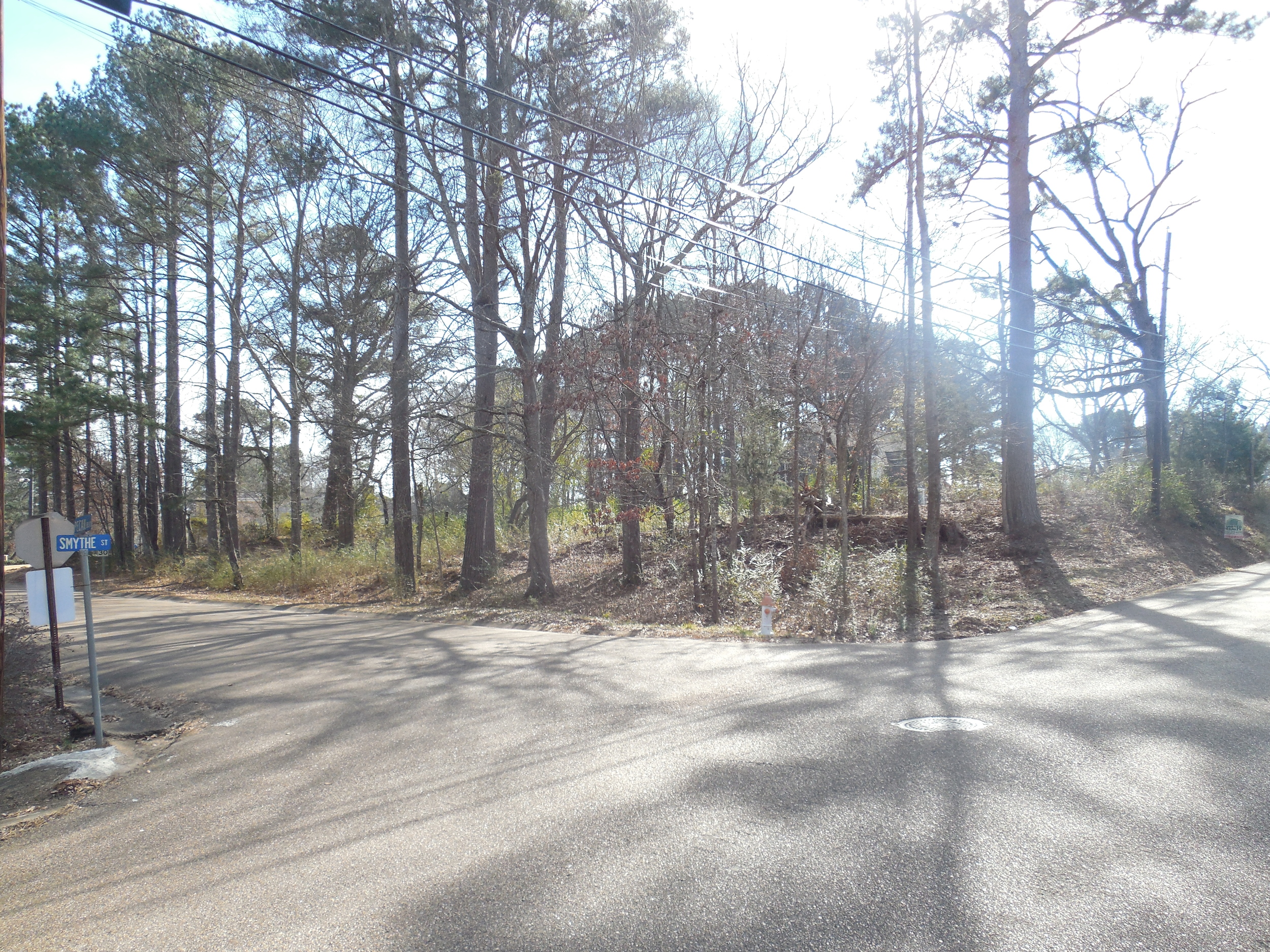 Smythe Street and Pecan Blvd lot.JPG