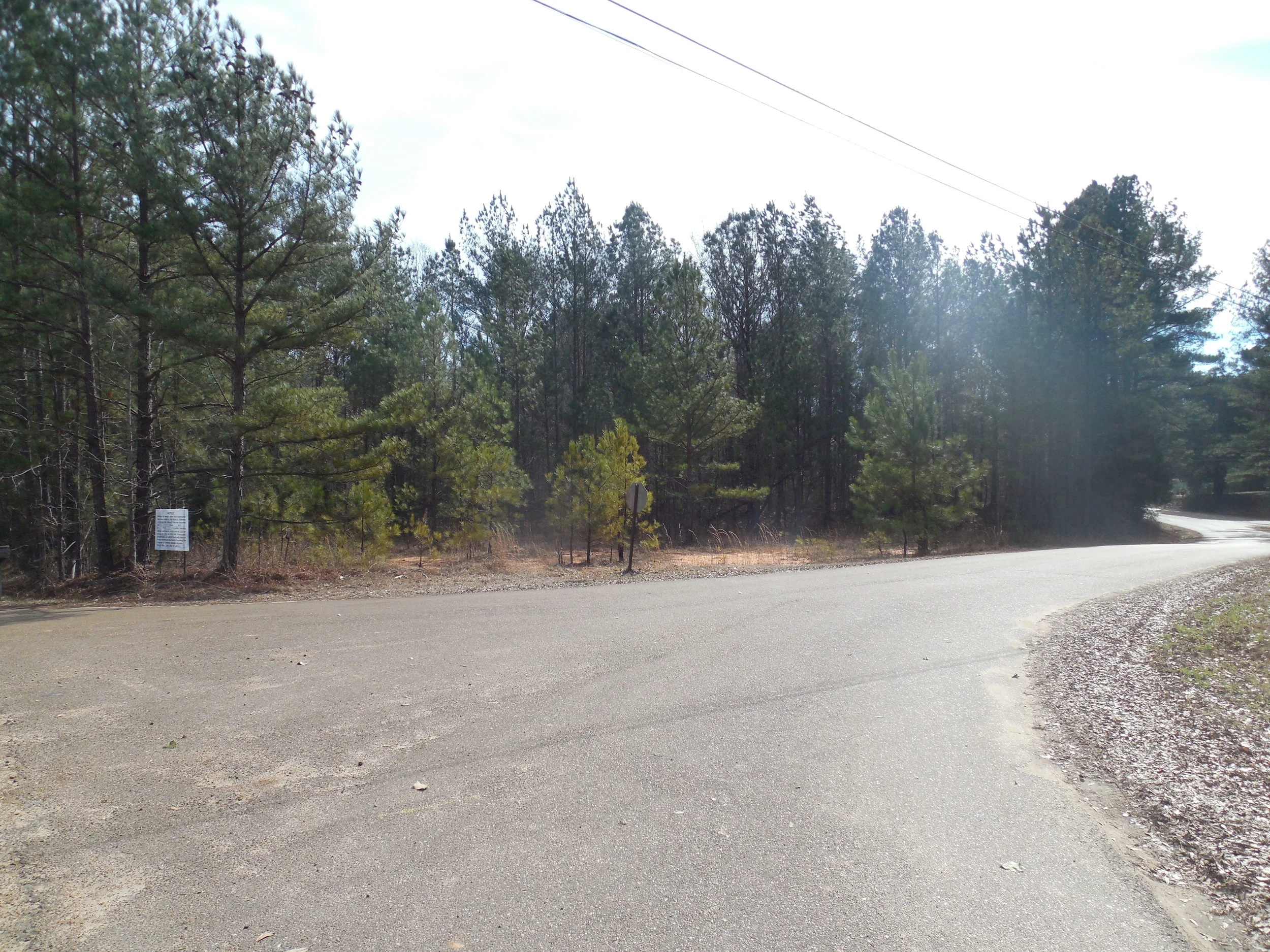 West Jefferson & Aponaug Road lot.JPG