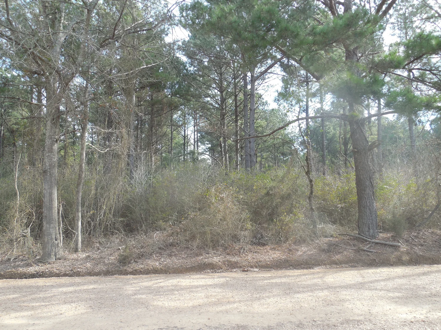 Old Vaiden Road | United Realty