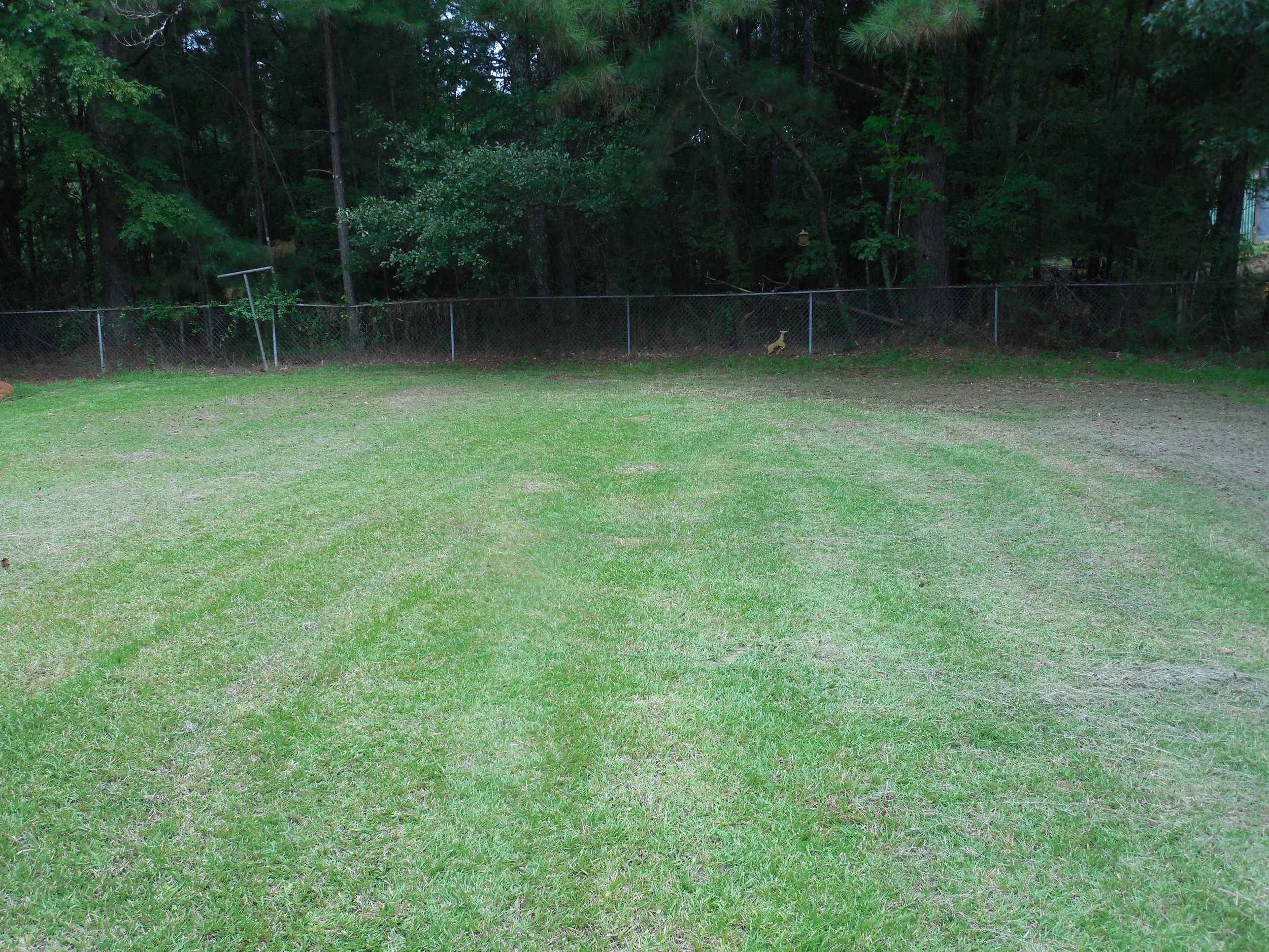 DSCN1651.JPG