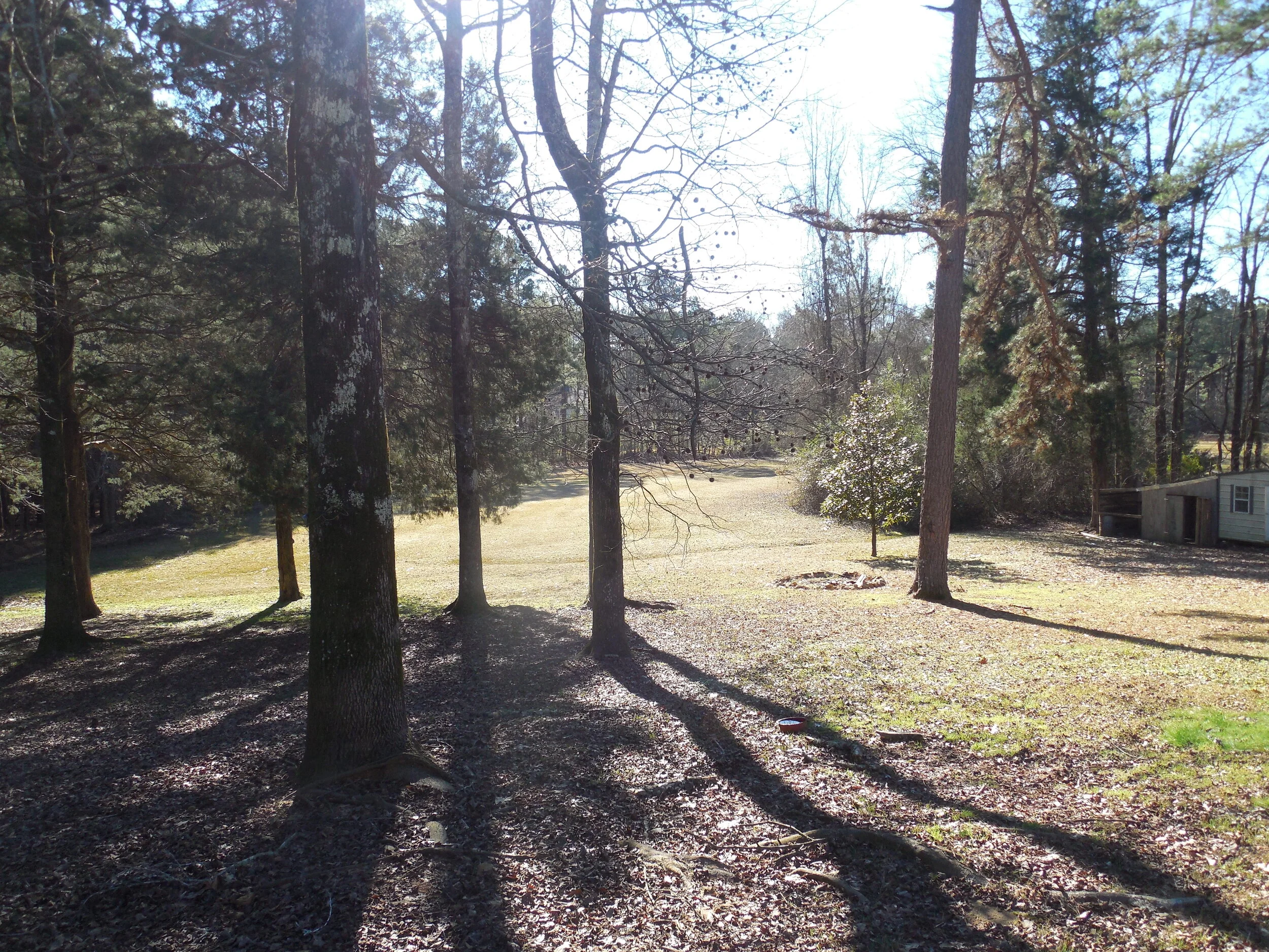 DSCN1684.JPG