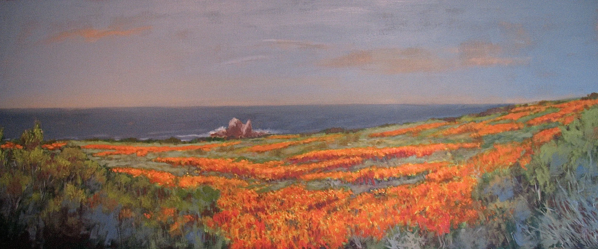 Big Sur Poppies