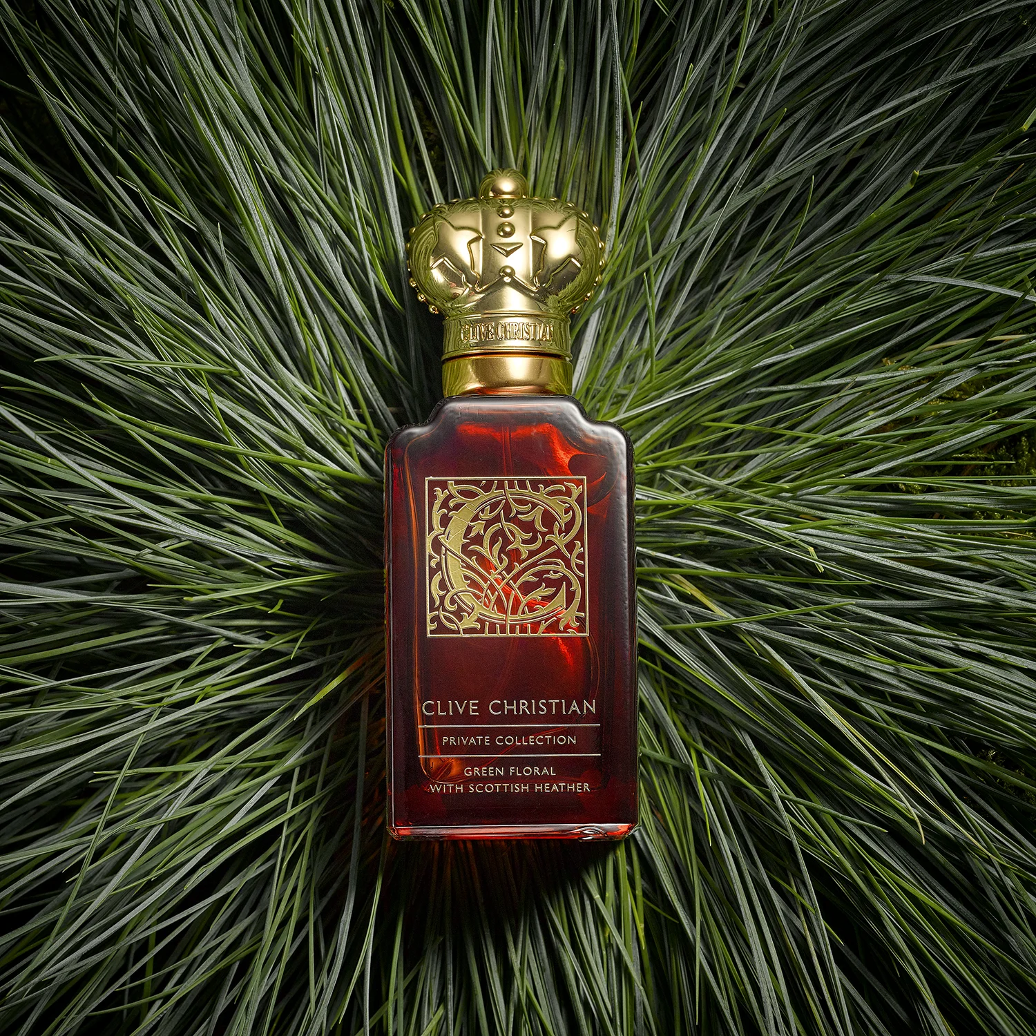 creative product photography still life cosmetics. perfume bottle with grass lifestyle background