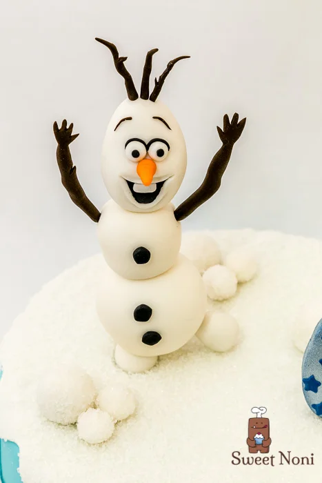 Bolo_Frozen_061214_5.jpg
