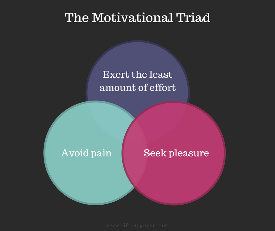 The Motivational Triad.png