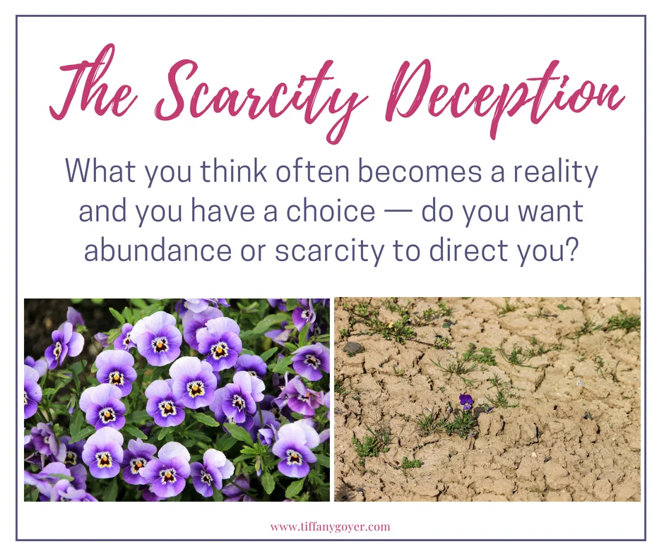 scarity or abundance.jpg