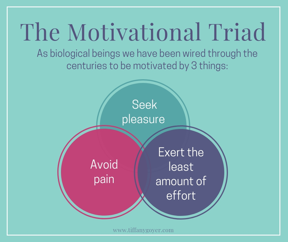 The Motivational Triad.jpg