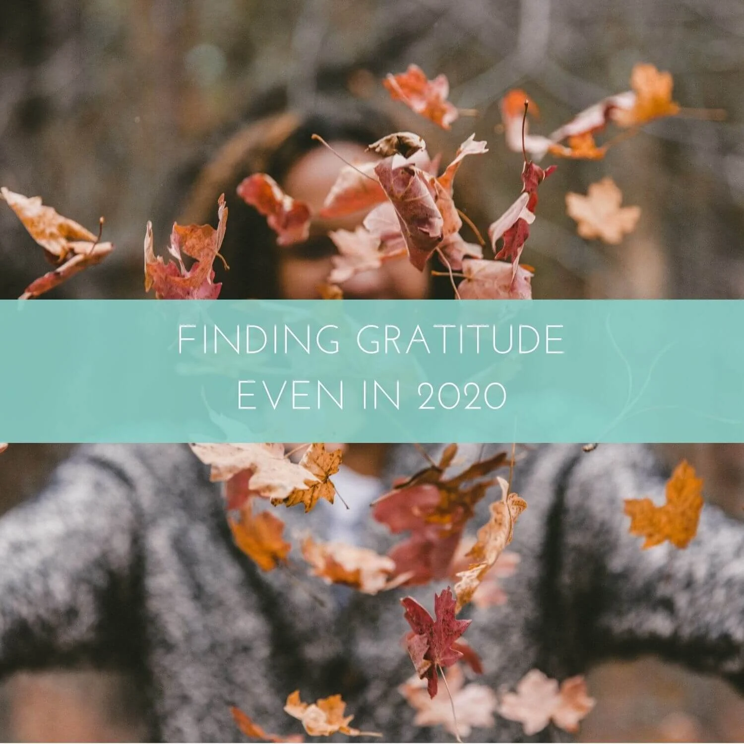 Finding Gratitude, Even in 2020