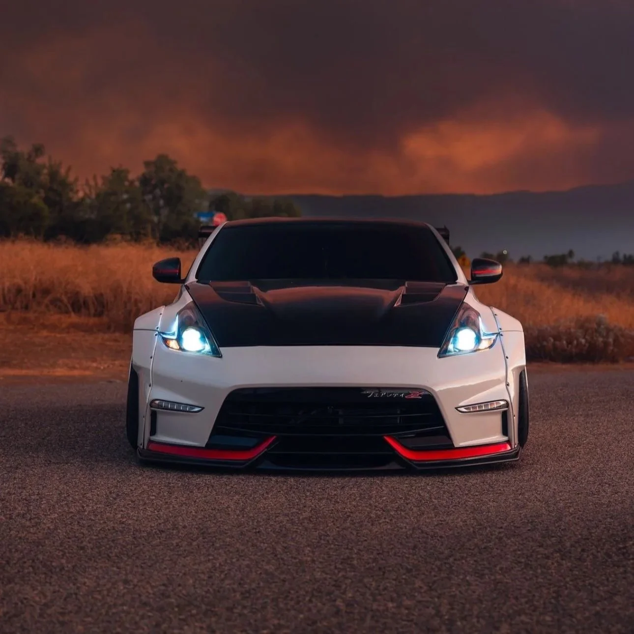 AMS-GT Hood — Fly1 Motorsports
