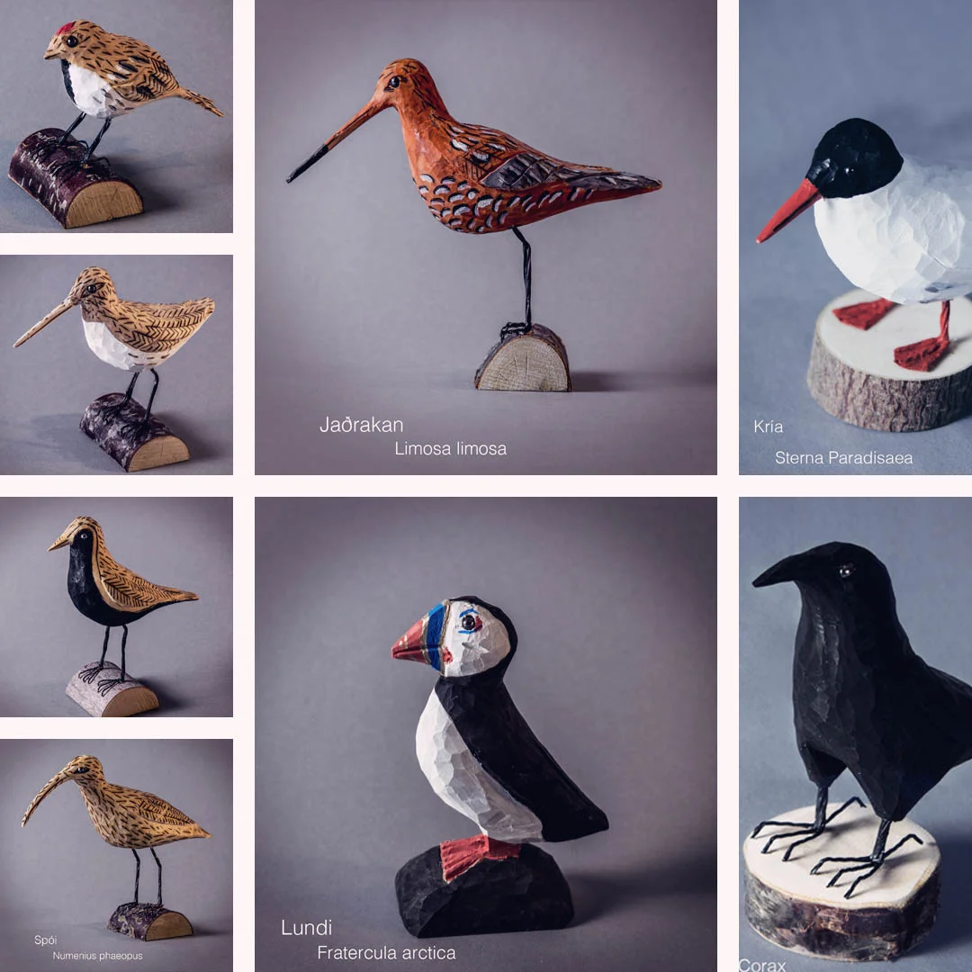 Bird.is