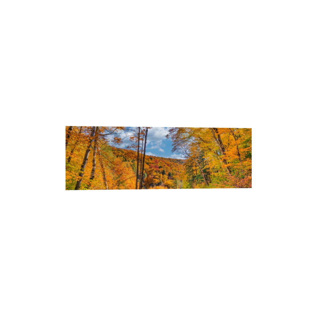ptq_1_2_0_1584_9504_3168_0_false_ffffff_0_0_.png