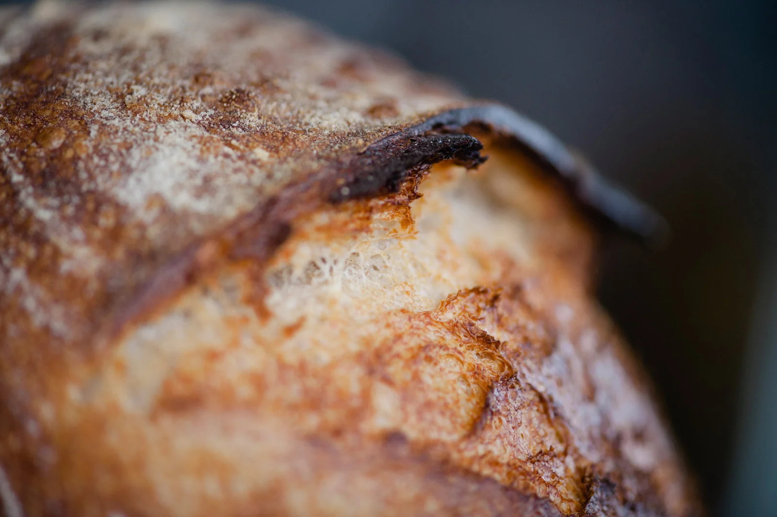 pizzicletta_070.jpg