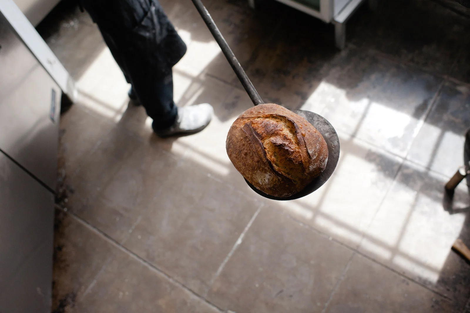 pizzicletta_062.jpg