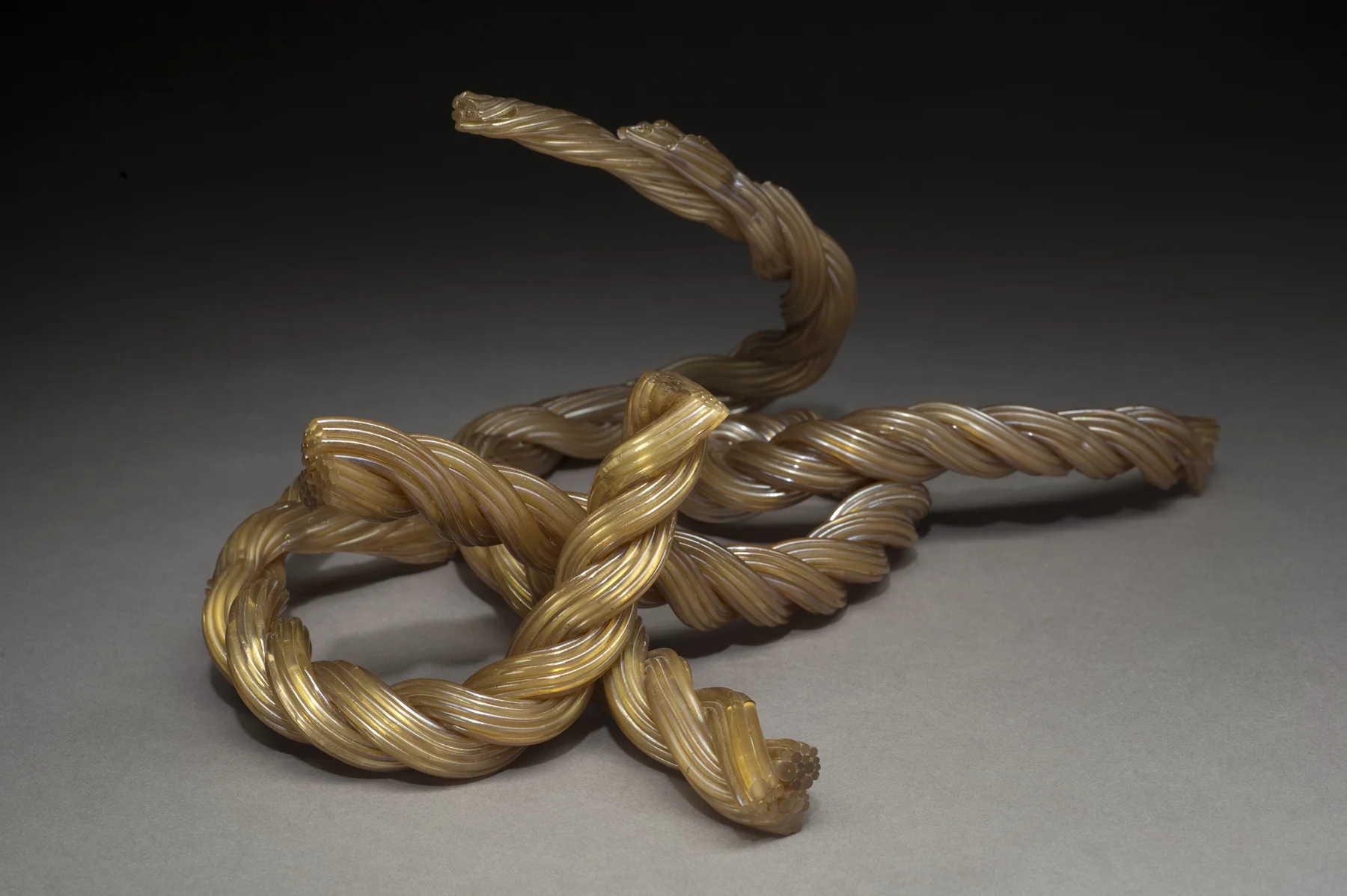 Rope Study