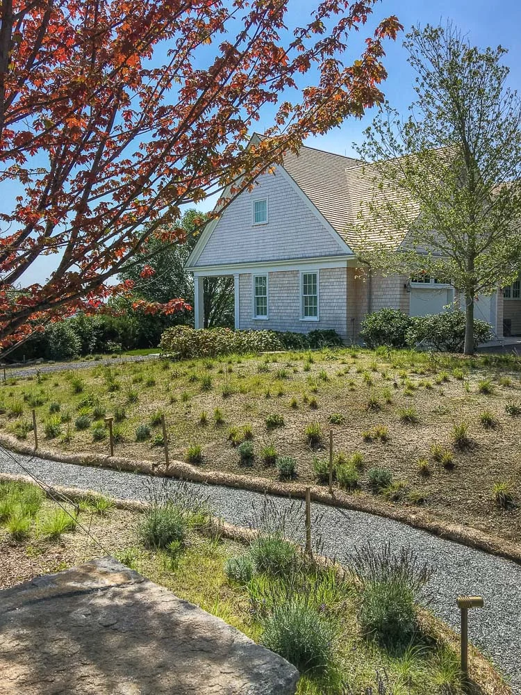 Cape Cod Landscape Architecture Project, Osterville, MA
