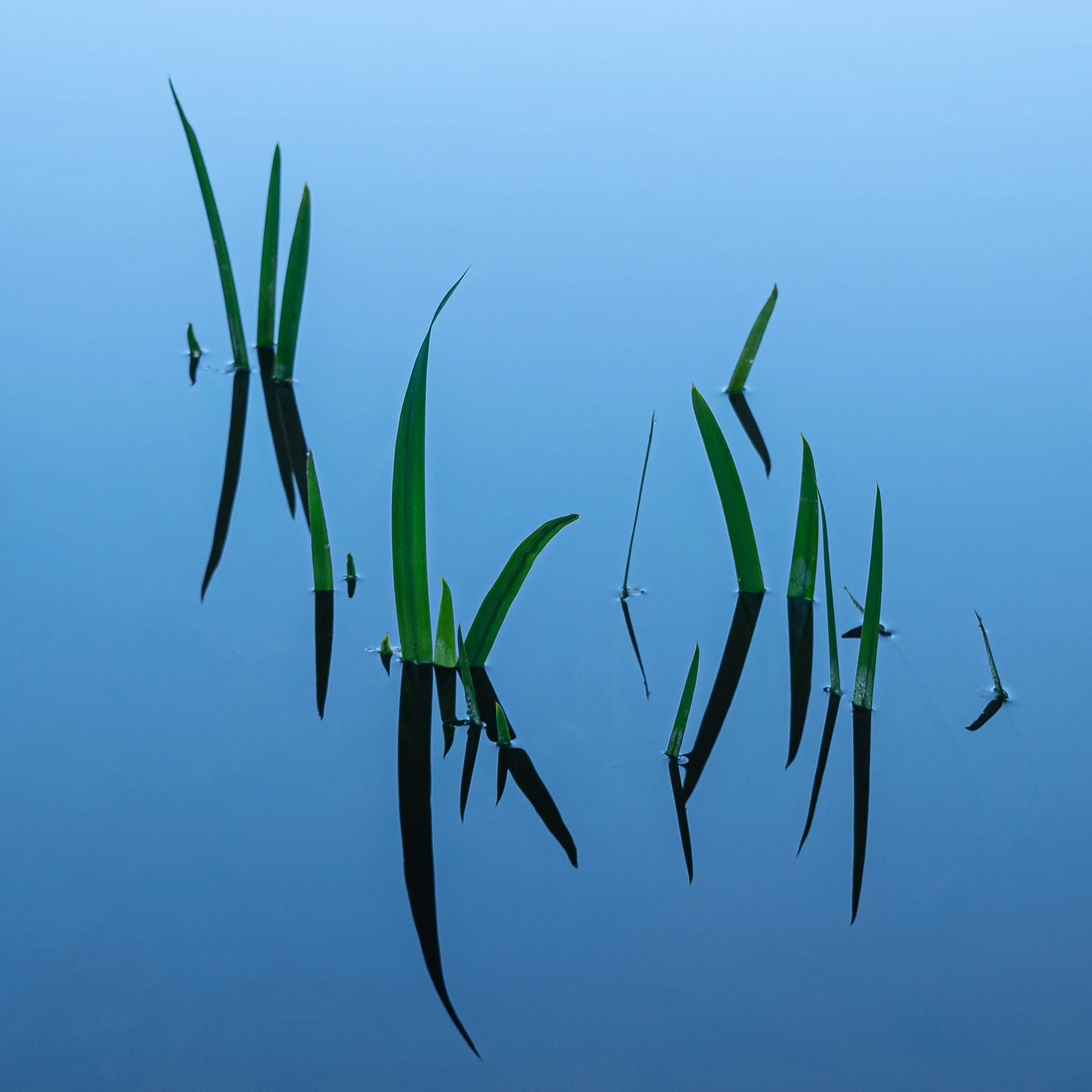 _DSC5444-Edit-Edit-Edit-1.jpg