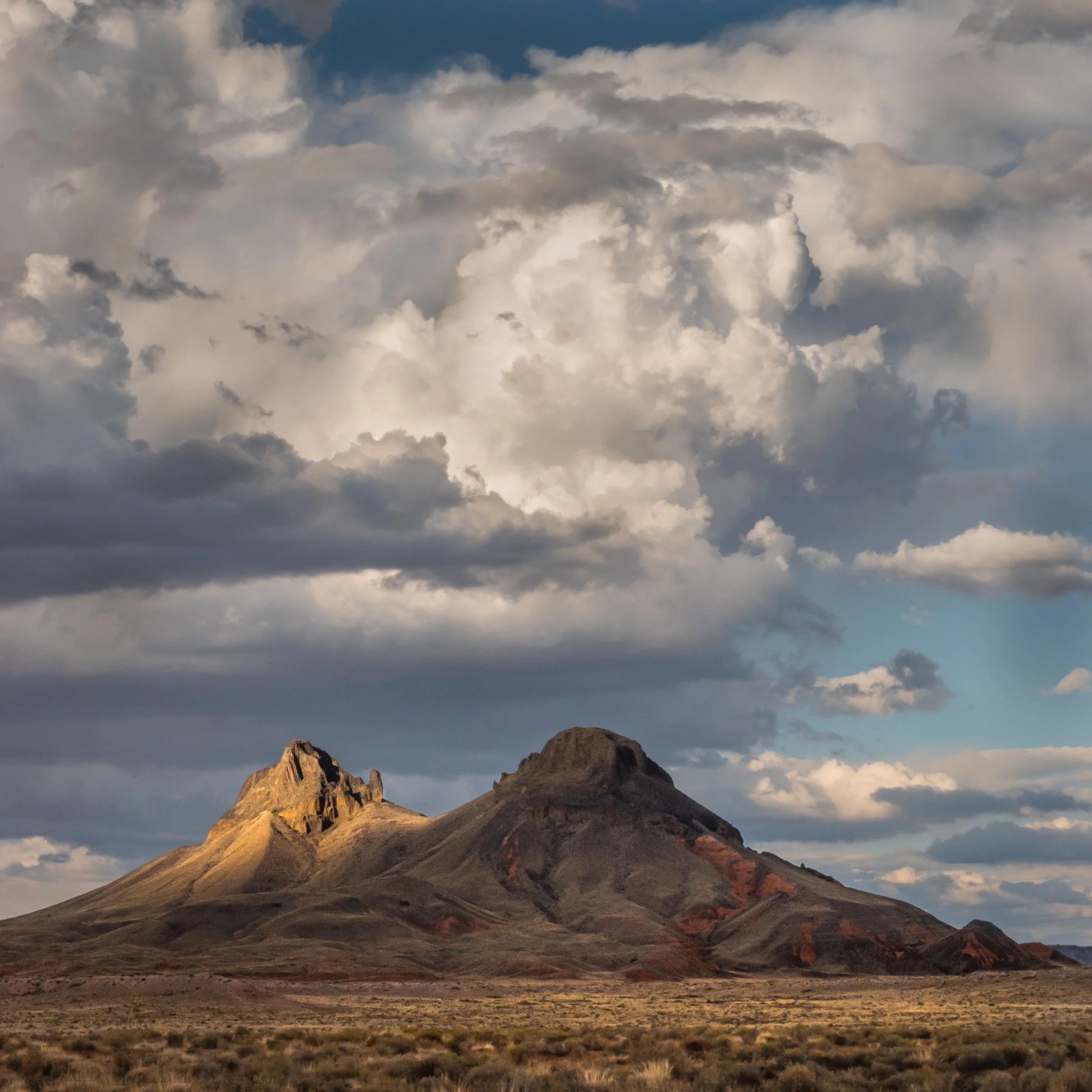 DSC_7297-1.jpg