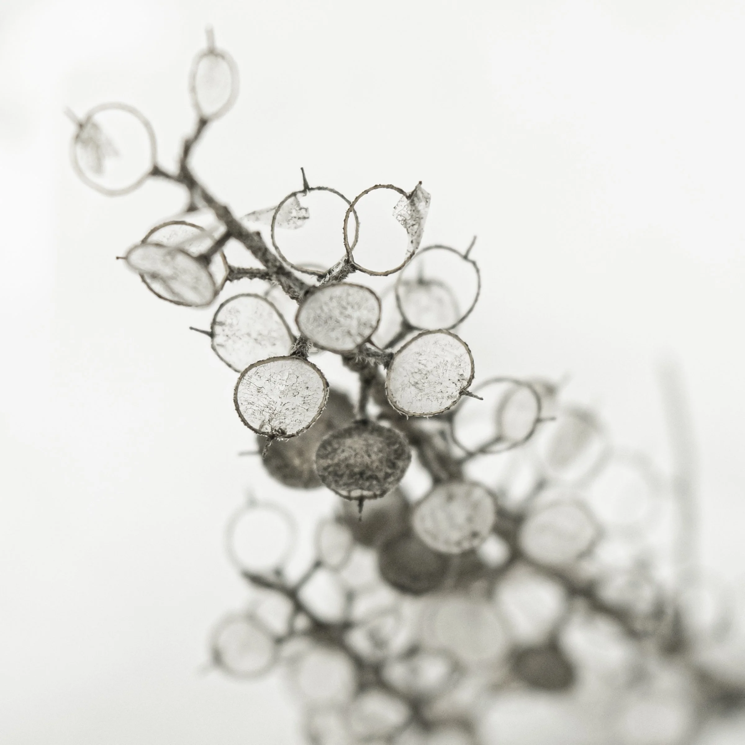 DSC_0254-Edit-1.jpg