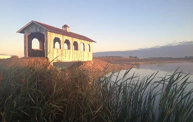 Sycamore Lake Wine Co.