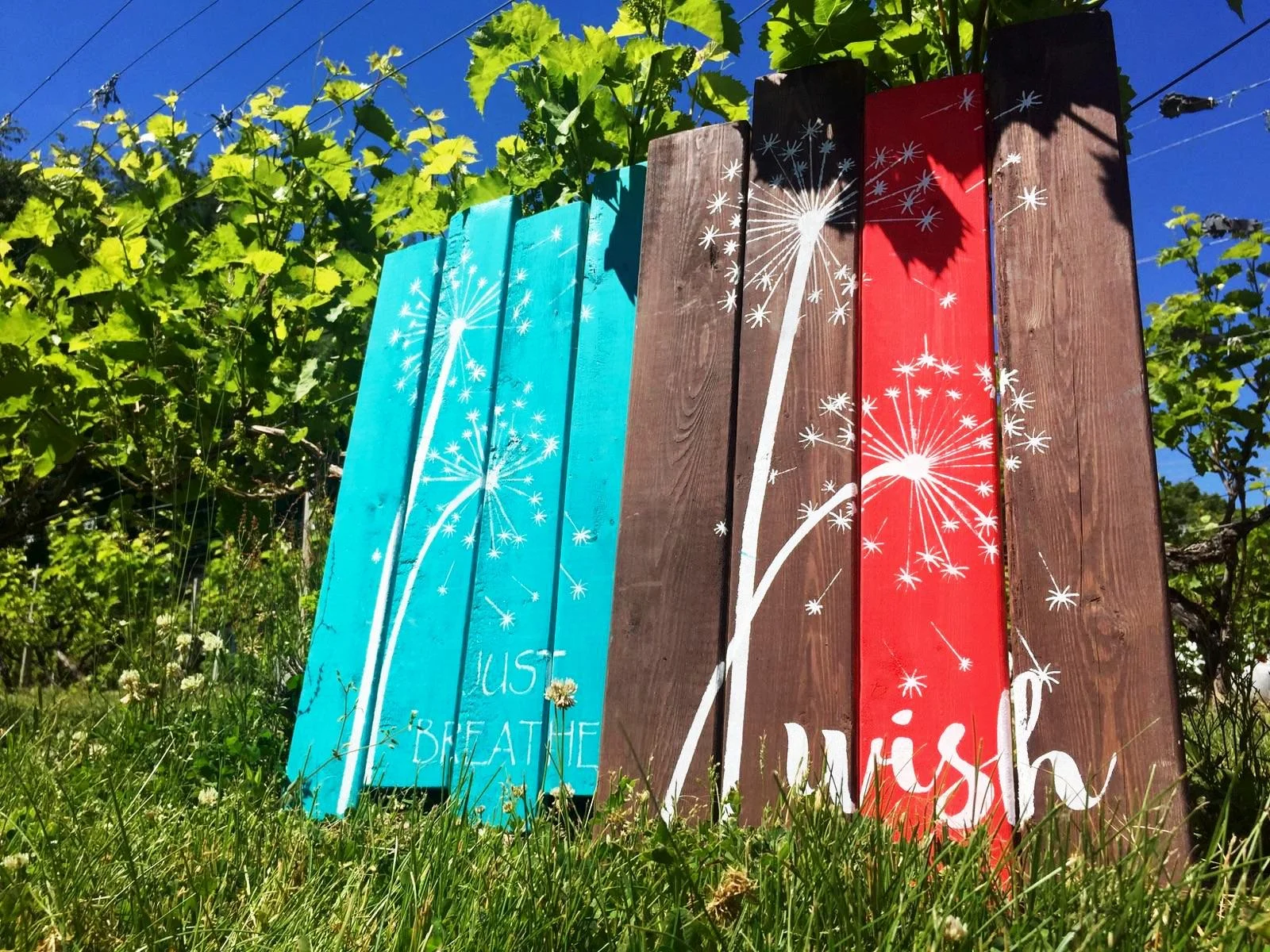 SANDHILL CRANE VINEYARDS - Dandelion Wishes Pallet Art