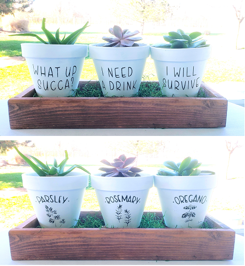 American Winery -  Garden Pots &amp; Plants Paint Party