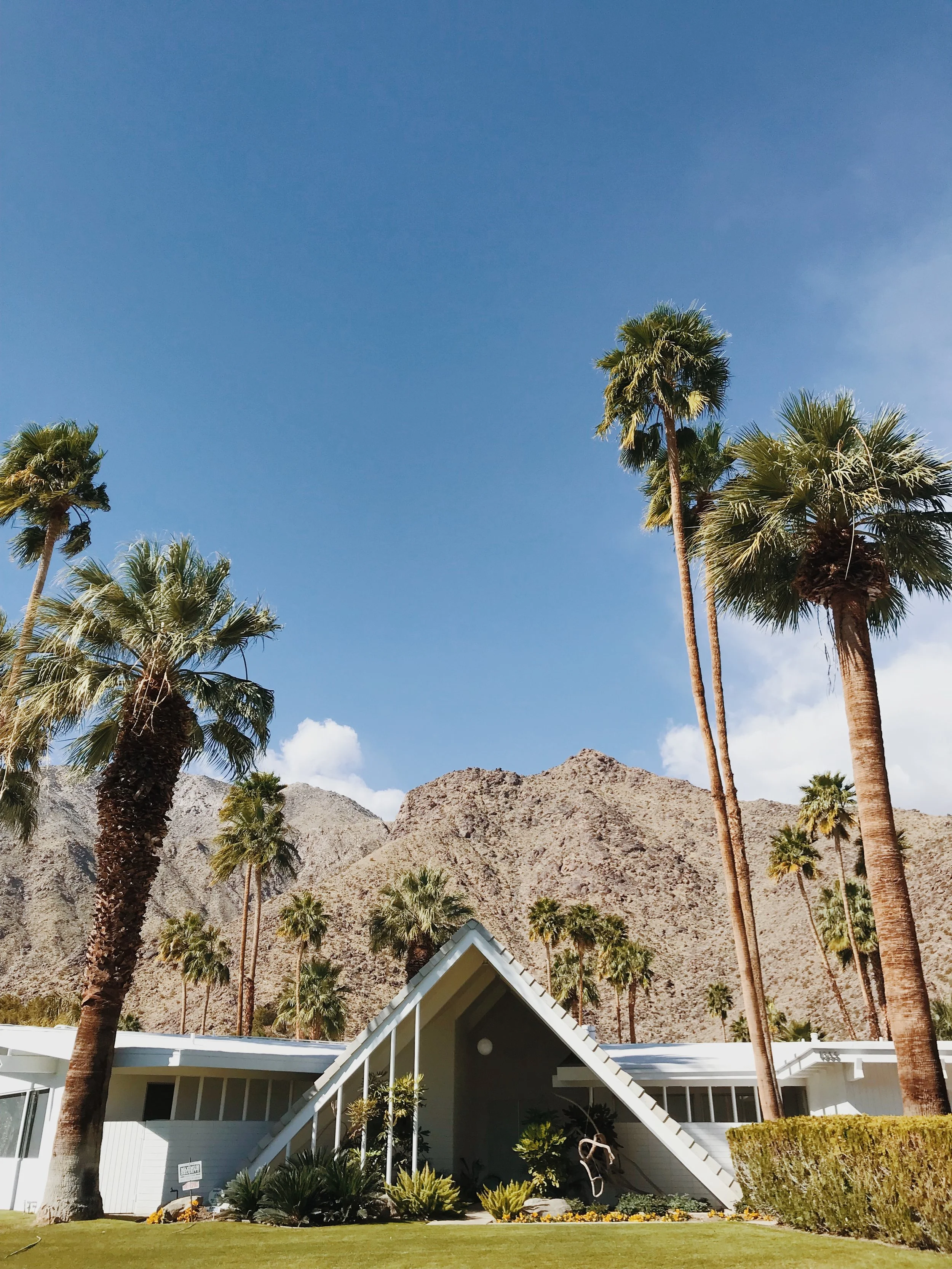 0FFC0442-2F65-40FF-B1AF-E7B680567200 2.JPG