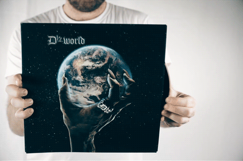 D12-Vinyl.gif