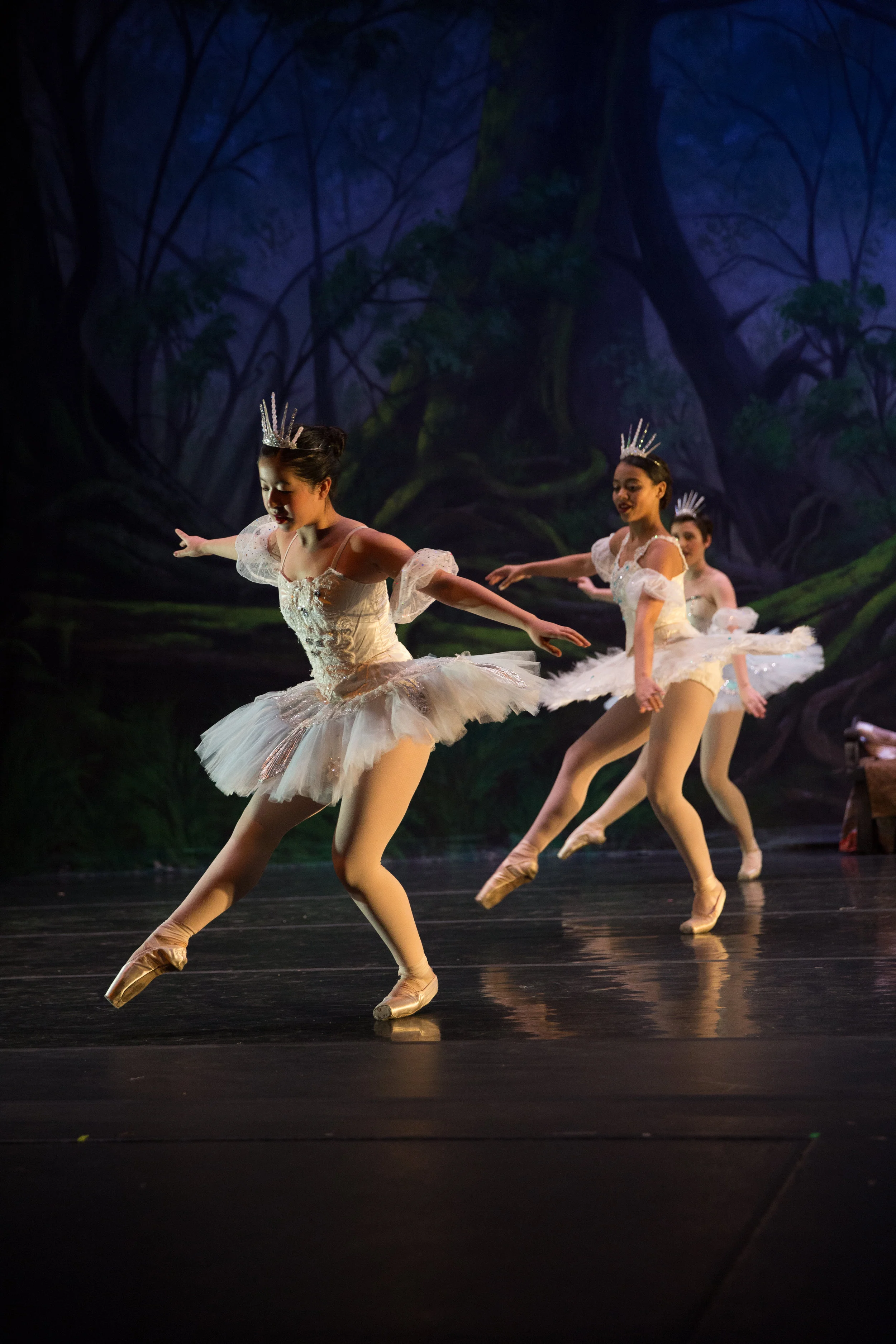 SnowWhite_170330-274.jpg