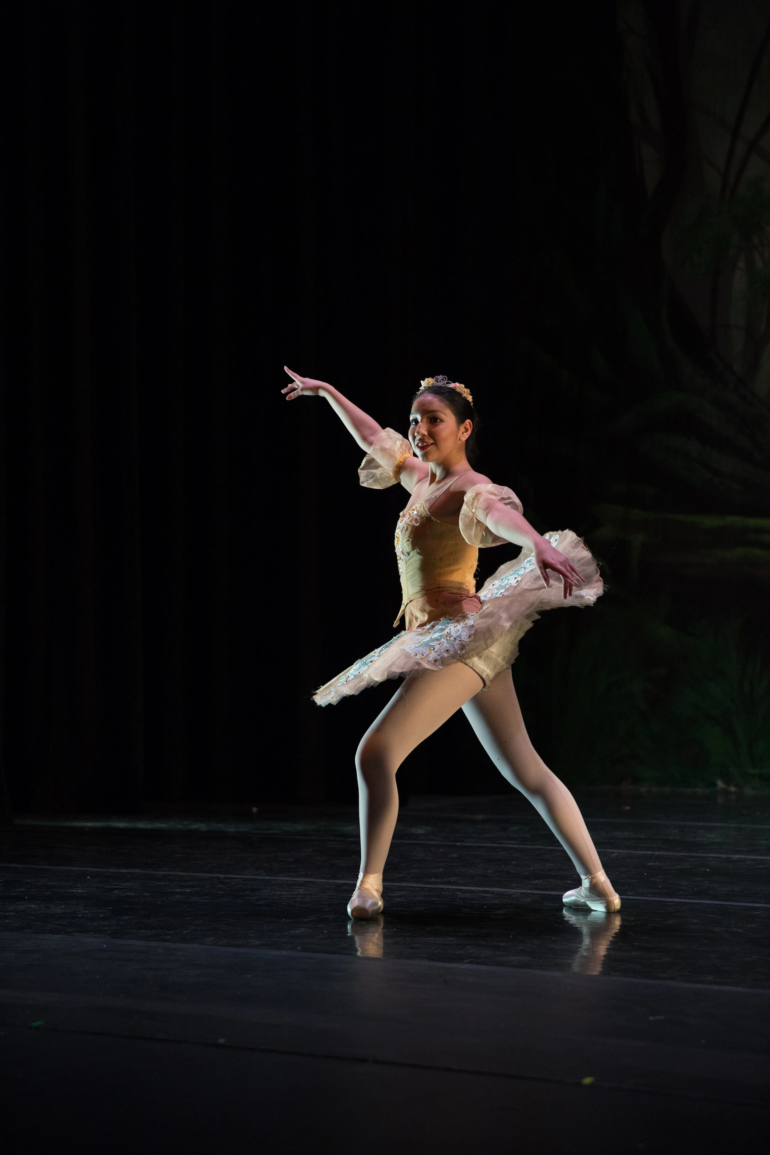 SnowWhite_170330-298.jpg