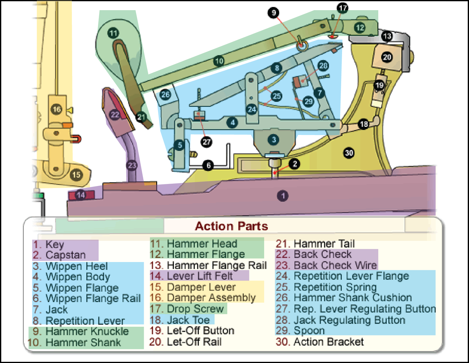 http://www.piano.christophersmit.com/actionDetail.htm (highlighted grouping mine)