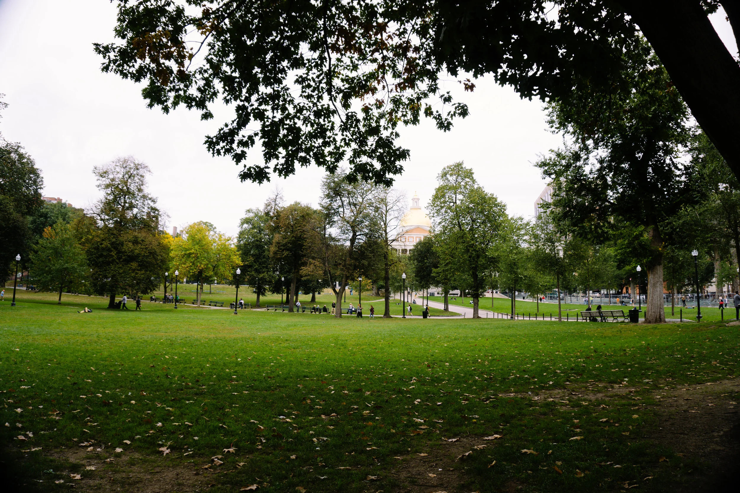 DSC06371-2.jpg