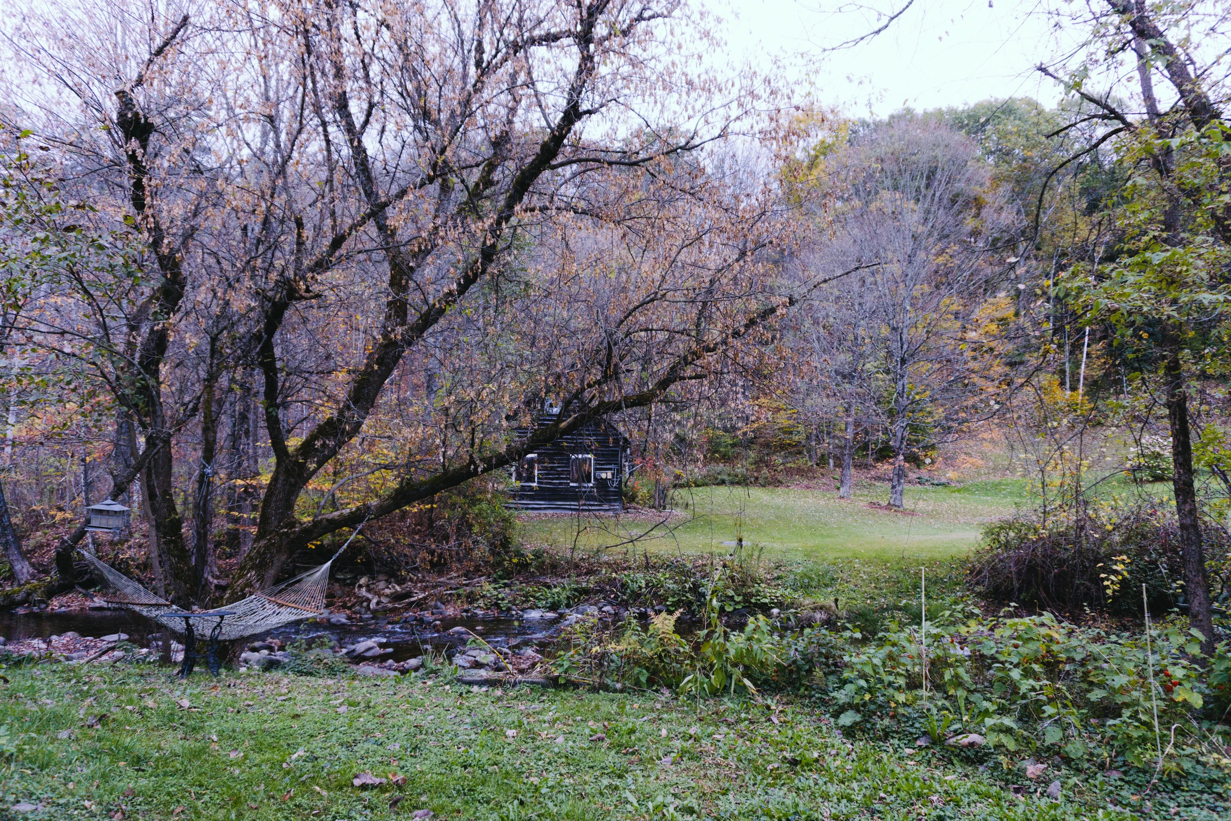 DSC07099-2.jpg
