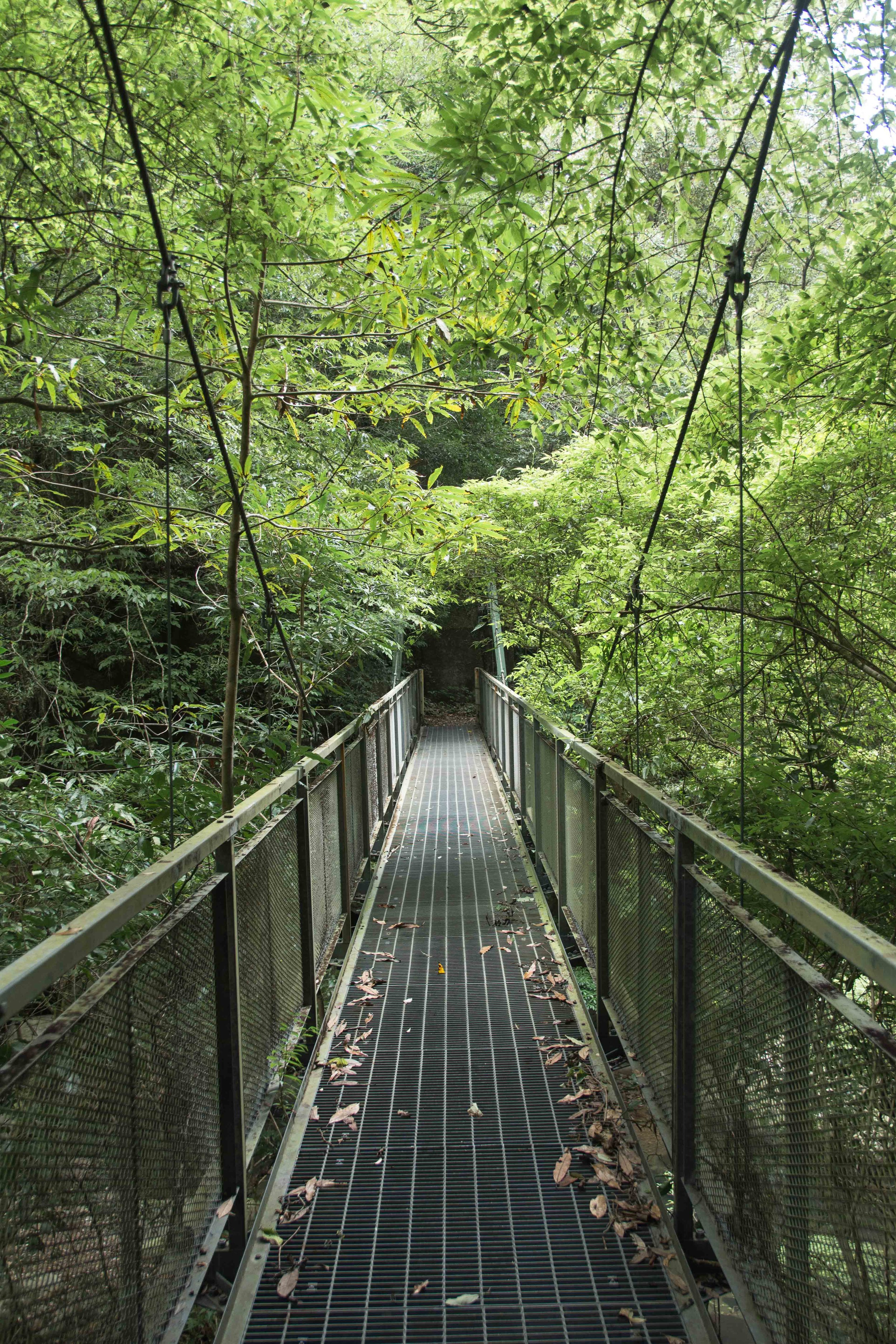 Miyazaki Area Guide | Inohae Valley