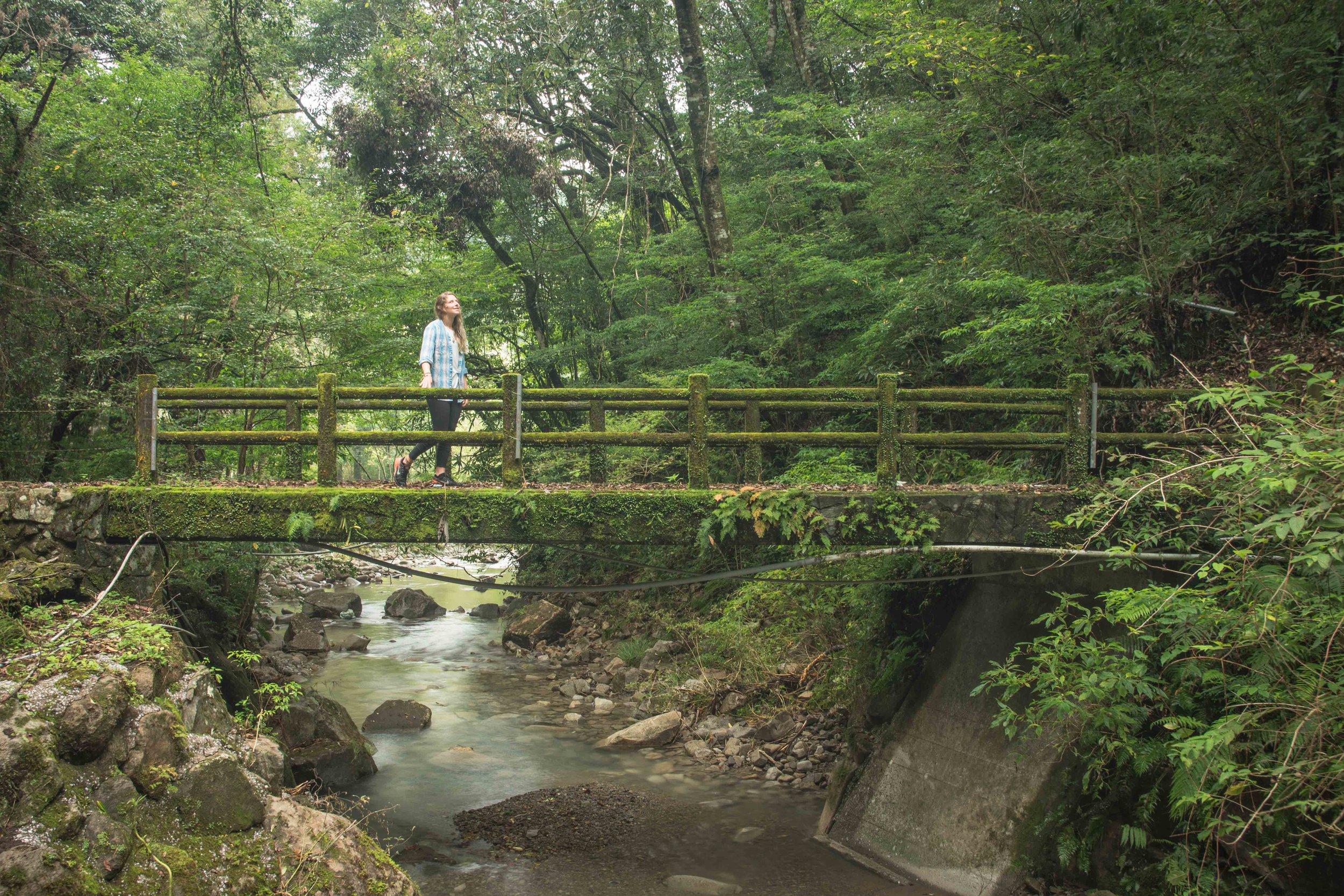 Miyazaki Area Guide | Sakatani Waterfall