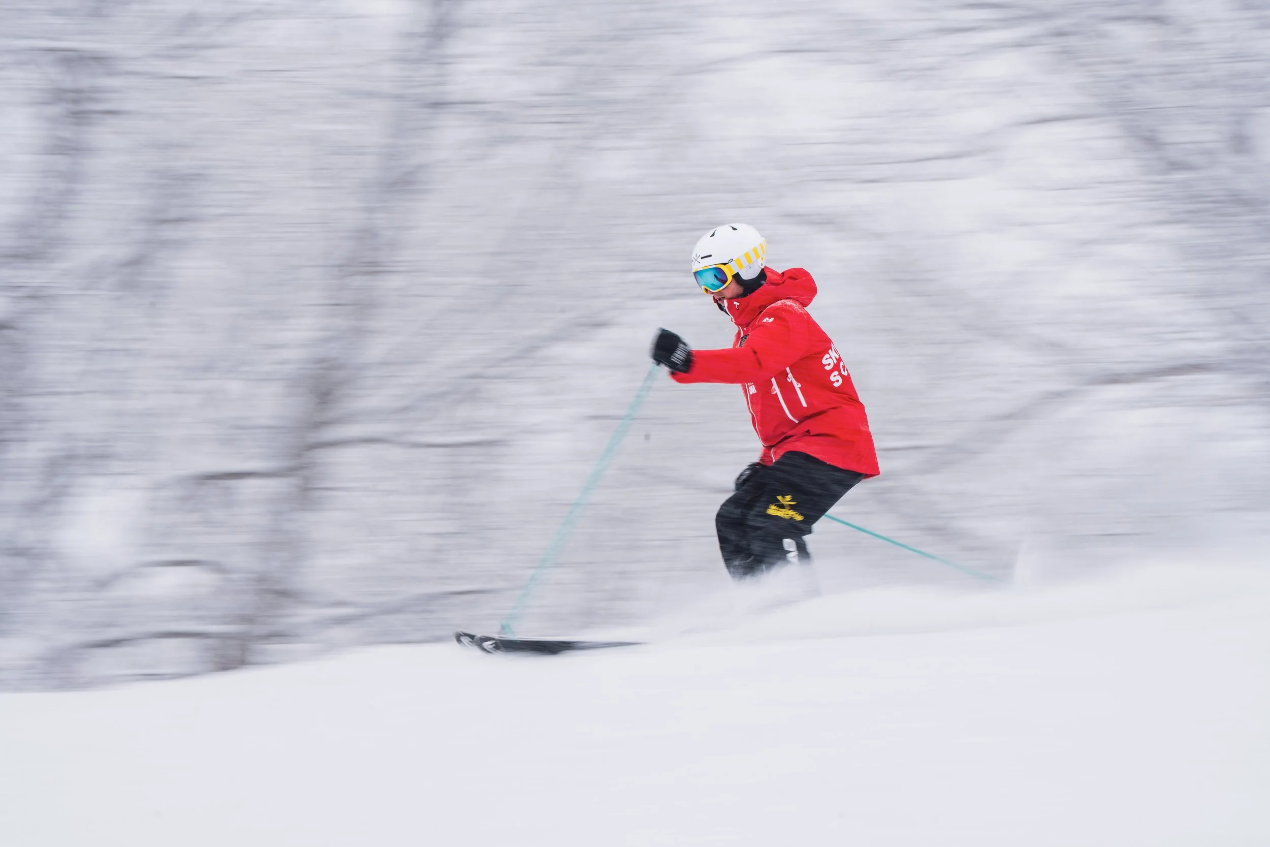 Hakuba | Family Ski Lesson