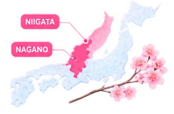 Sakura Property Support helping foreign buyers purchase property in Nagano and Niigata, Japan, with property search, viewing, negotiation and post-purchase support.