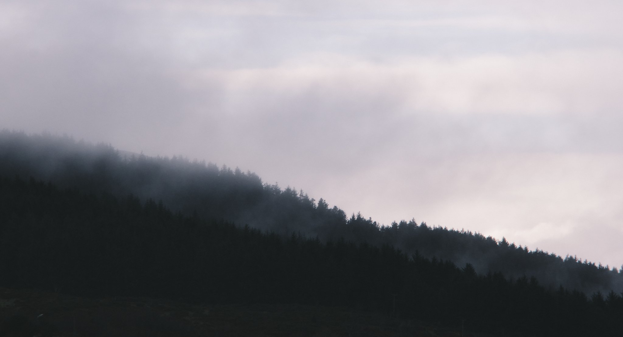 _AT37918.jpg