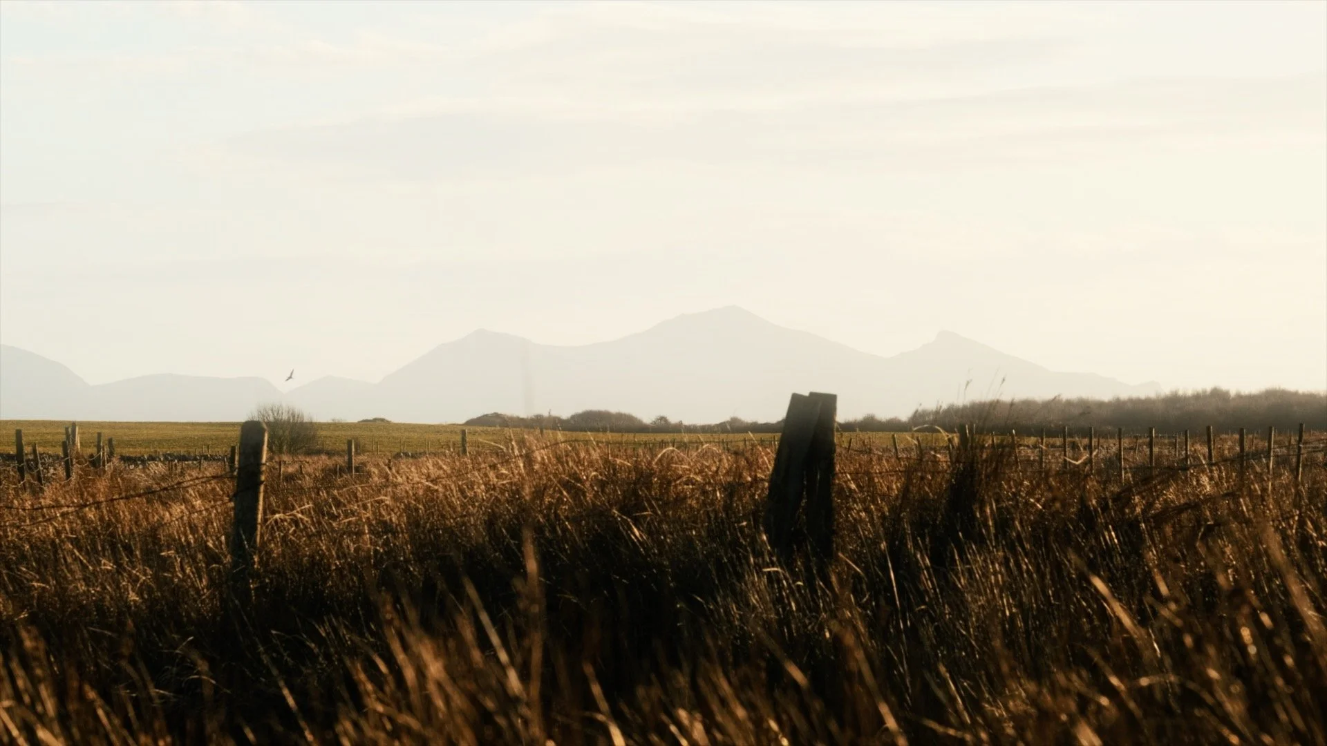 Rhuddgaer Stepping stone4 .jpg