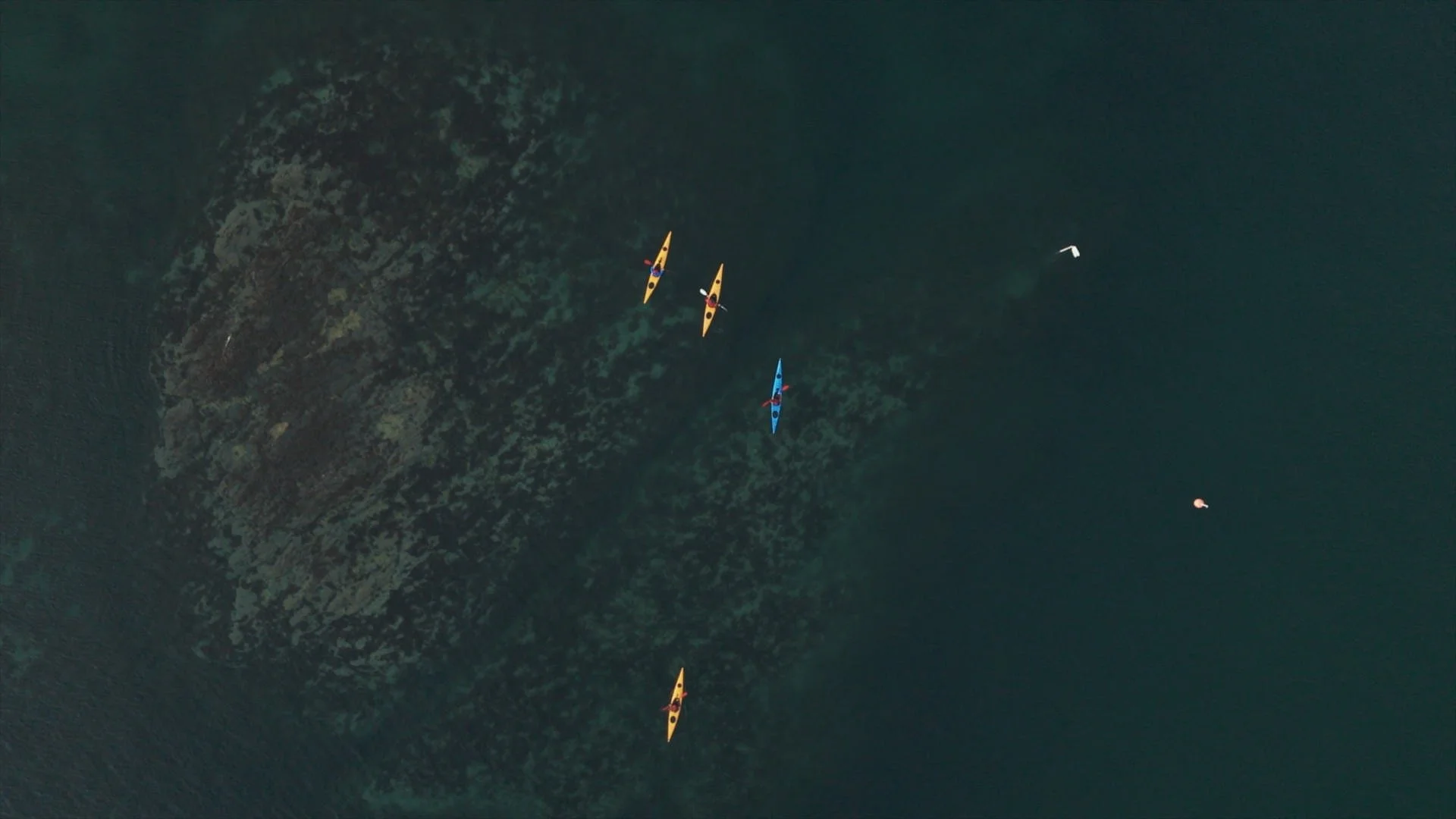 kayak.jpg