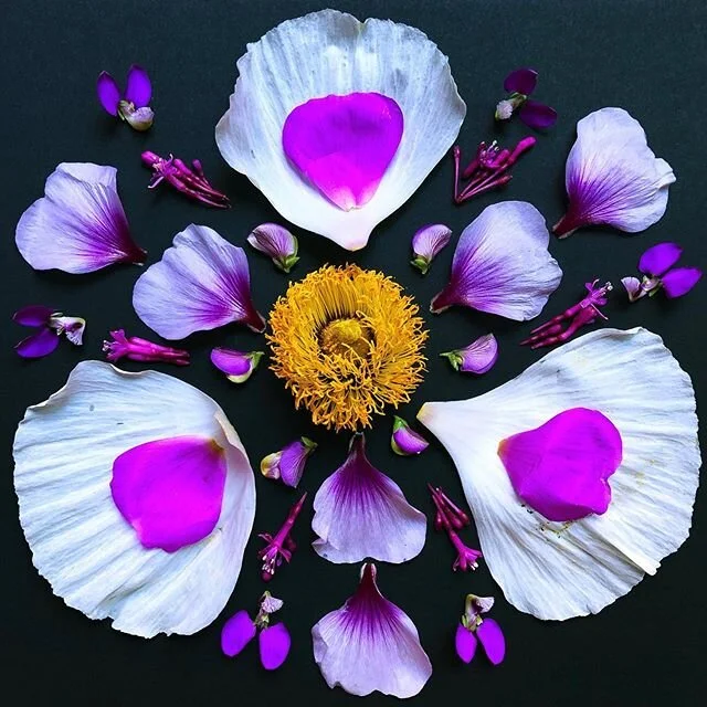 47 | 100
“Darkness cannot drive out darkness; only light can do that. Hate cannot drive out hate; only love can do that.” - Martin Luther King, Jr
These daily art meditations have been a healing practice for me. I hope they w