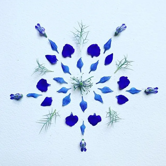 49 | 100
#100daysofMAKEmeditation #the100dayproject #ephemeralart #natureart #sustainableart #neighborhoodflowers #quarantineart #flowerart #MAKEmeditation  #plantpossibility #plantmeditation #designmystics #sanfranciscoartist #quarantineandch