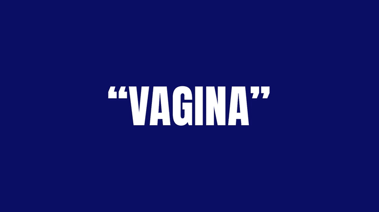 CensHERship---Cunt-Say-It.gif