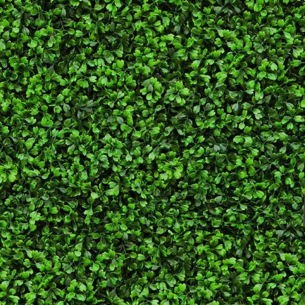 Green Hedge