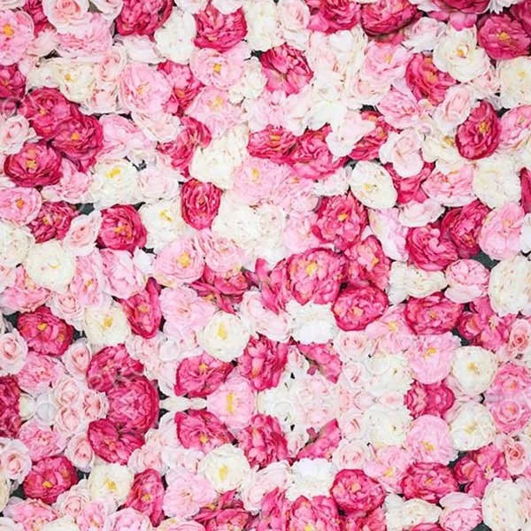 Rose Wall