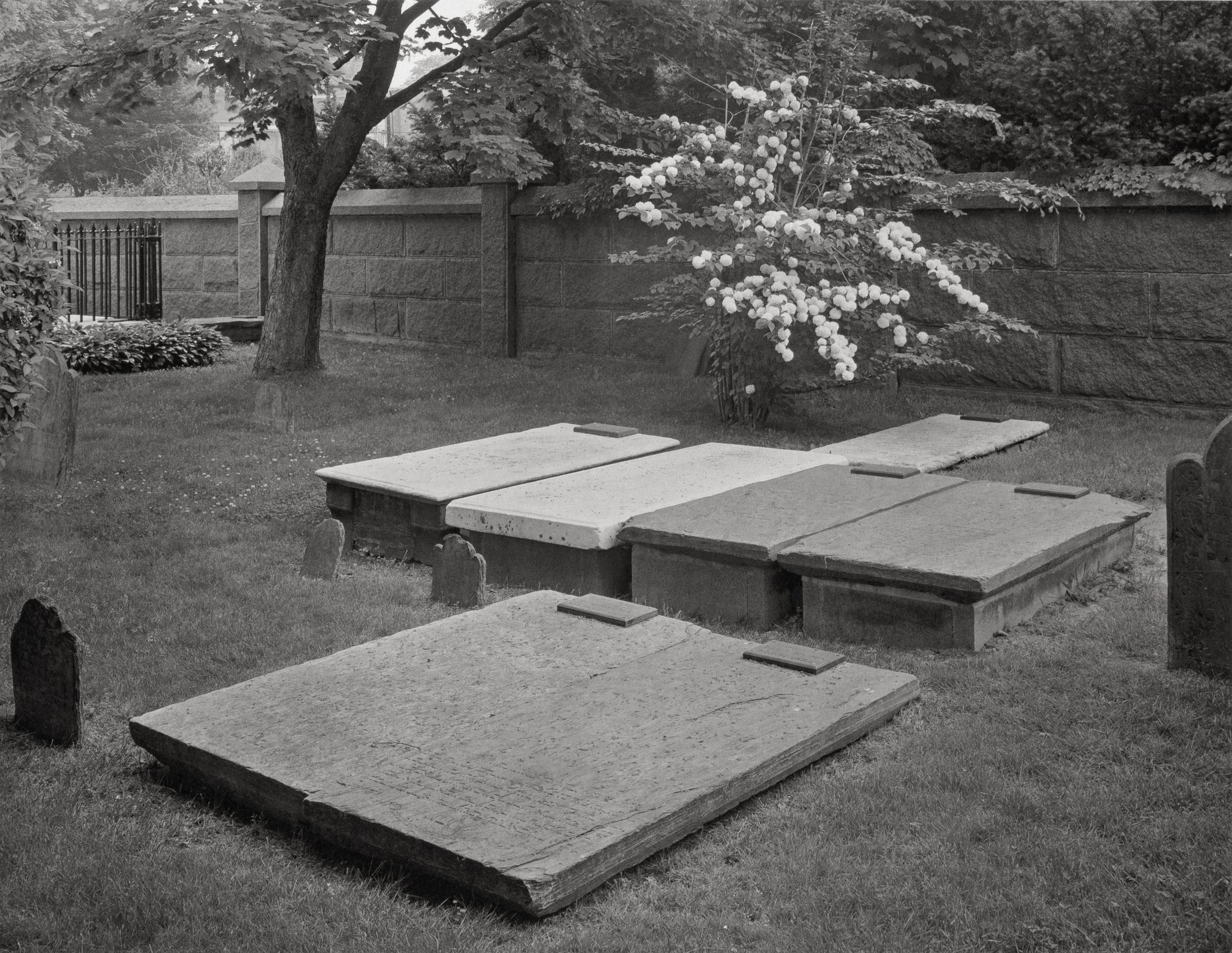 Benson08 copy.jpg