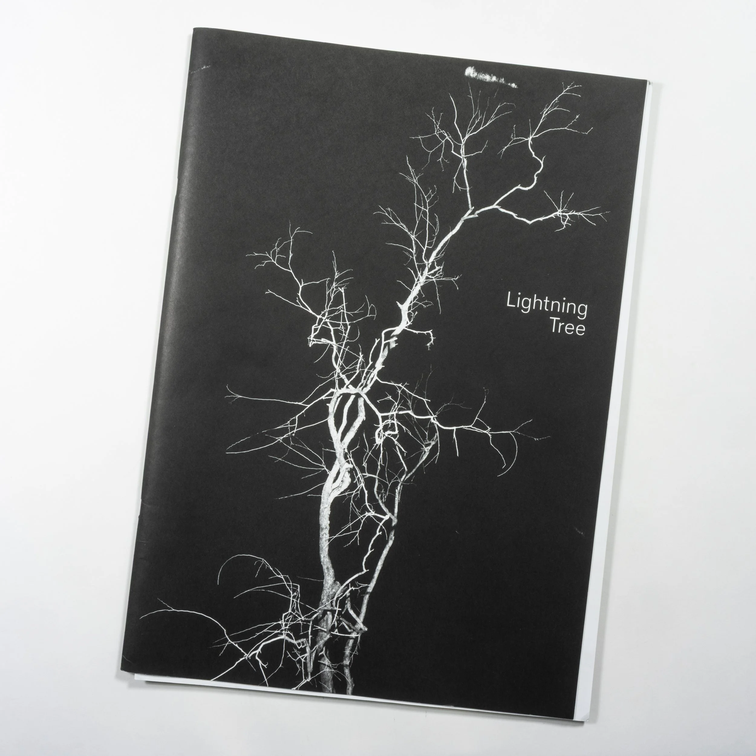 DSC09239.jpg